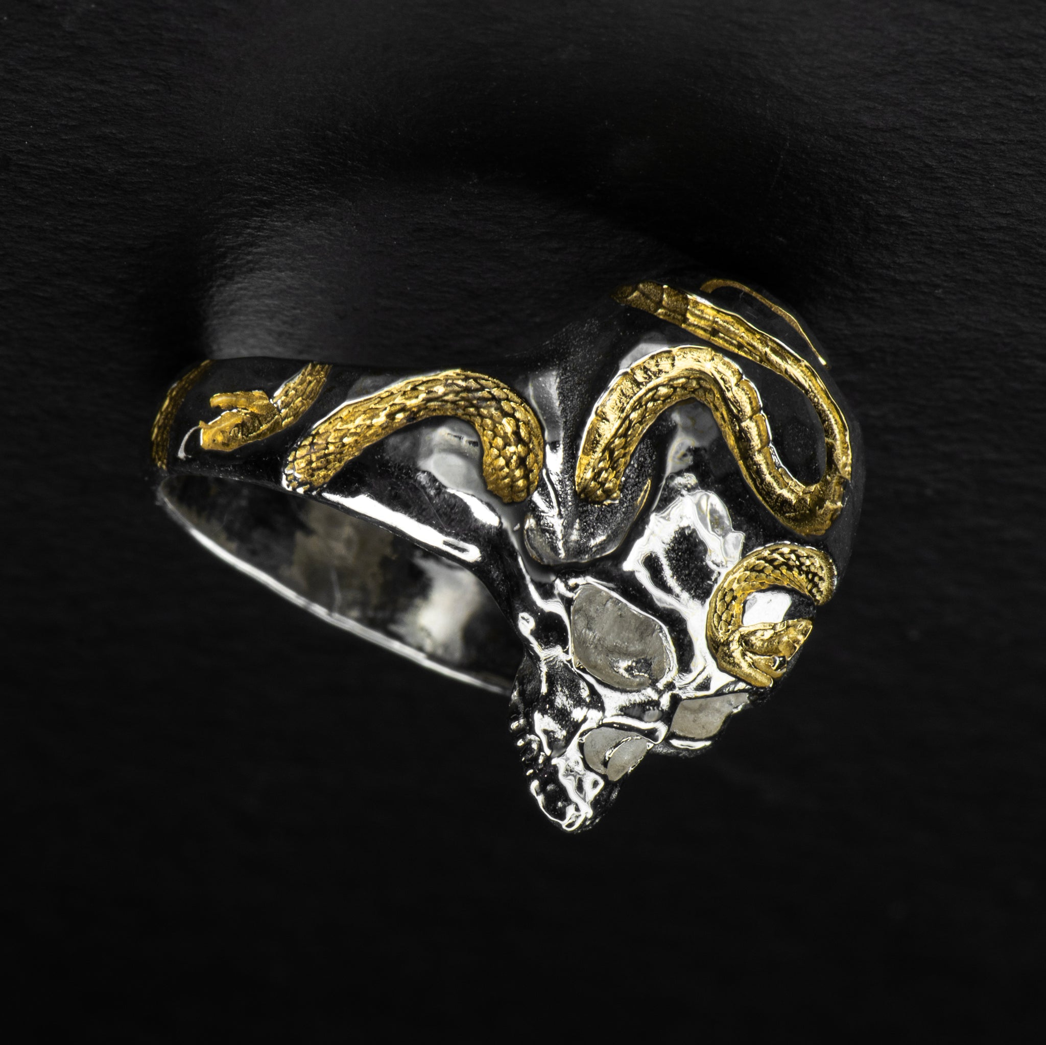 Skull Ring - OUROBOROS REX - AHW Studio