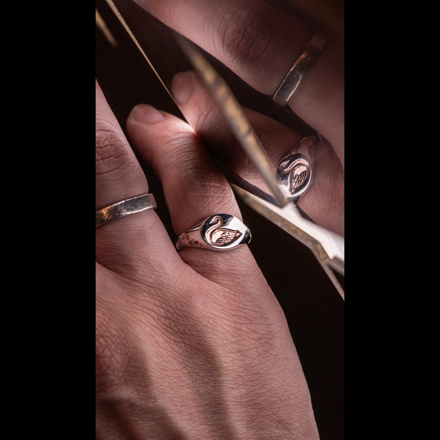 October Exclusive - CYGNET - AHW Studio