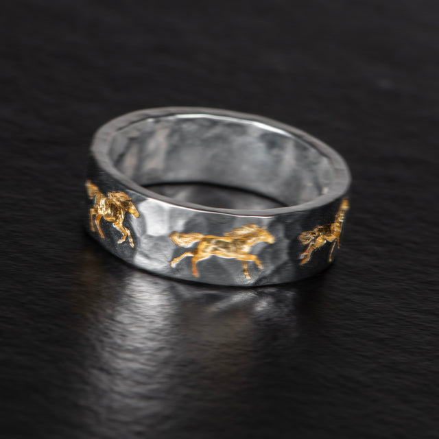 2026 Limited Edition - IN MOTION