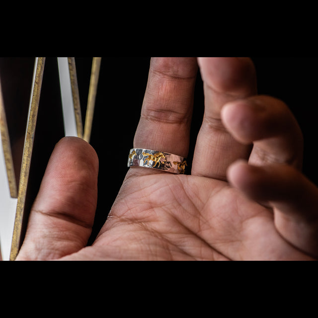 2026 Limited Edition - IN MOTION