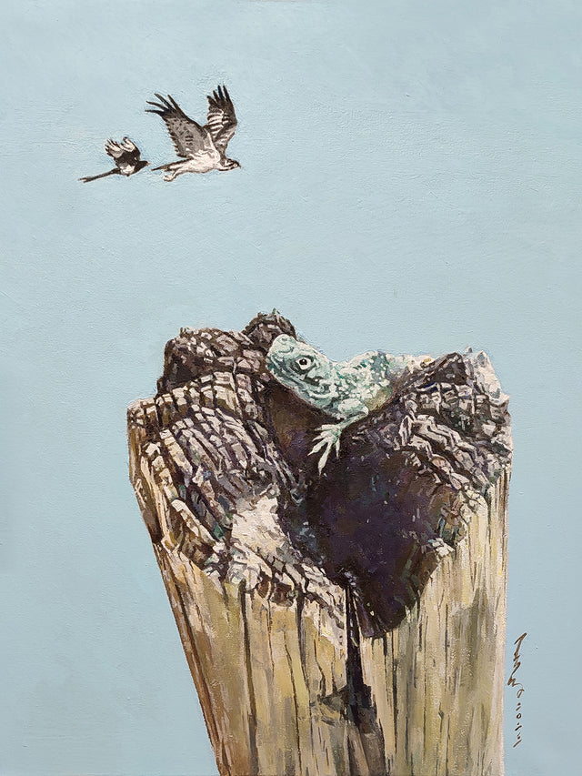 THE BIRDS AND THE LIZARD